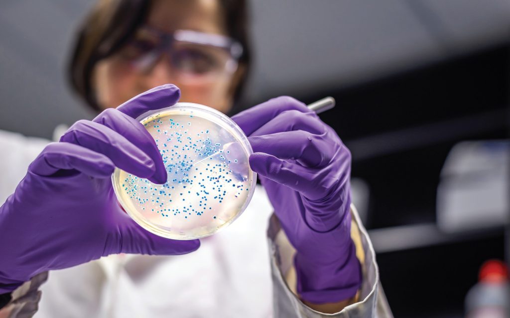 LAB_3_23_Damian_Sztucki_MIKROBIOLOGICZNE_ZANIECZYSZCZENIA_iStock-1131003688