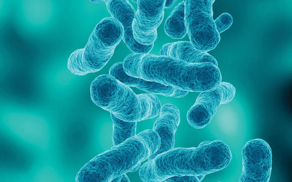 LAB_4_23_Izabela_Zimoch_NADZOR_NAD_LEGIONELLA_iStock-1451790531