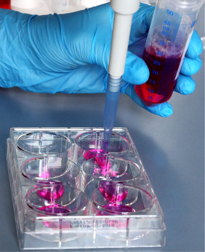 LAB_1_22_Agnieszka_Serwinowska_BADANIA_IN_VITRO_FOT_1