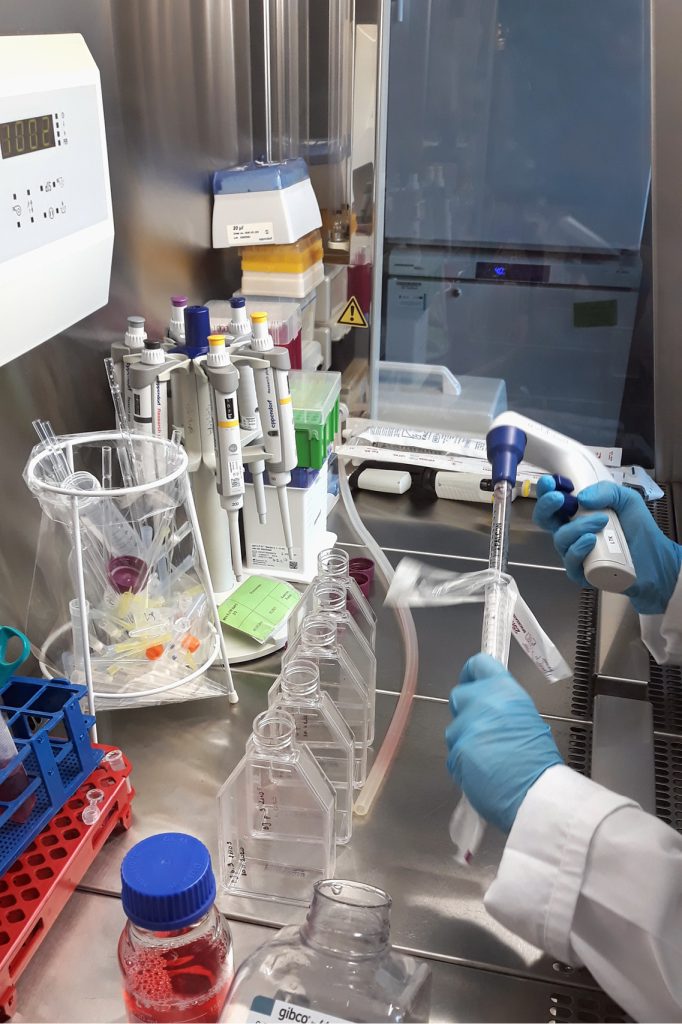 LAB_1_22_Agnieszka_Serwinowska_BADANIA_IN_VITRO_FOT_3