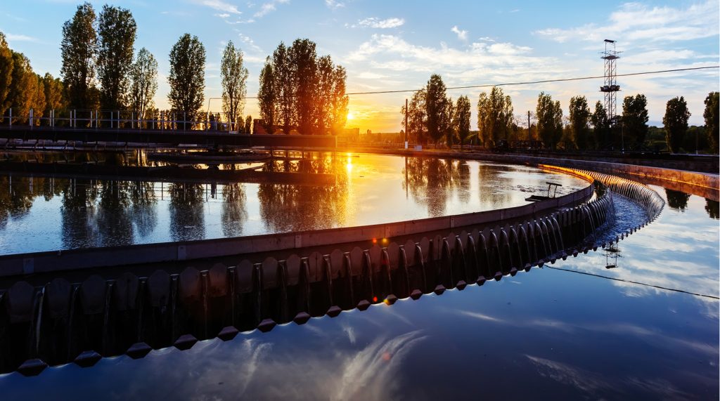 LAB_4_22_Malwina_Tytla_METALE_CIĘŻKIE_RYZYKO_ZDROWOTNE_iStock-1270437716
