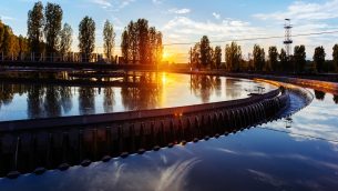 LAB_4_22_Malwina_Tytla_METALE_CIĘŻKIE_RYZYKO_ZDROWOTNE_iStock-1270437716