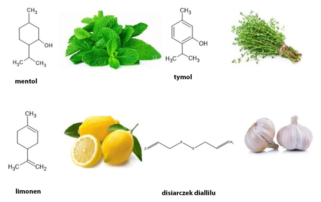 lab-metabolity-wtórne
