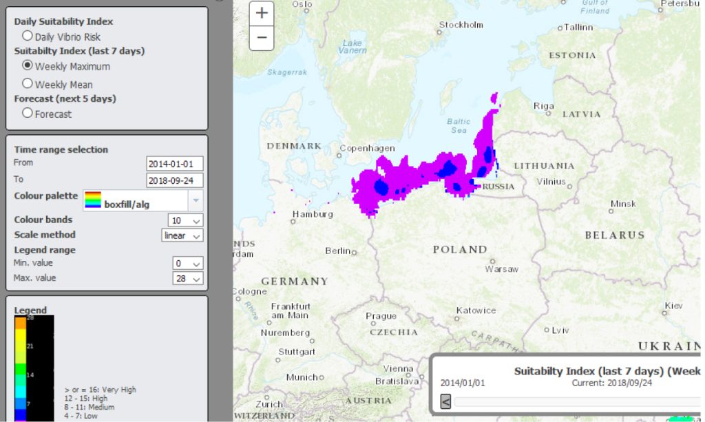 lab-vibrio-alginolyticus