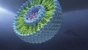 lab-liposomu
