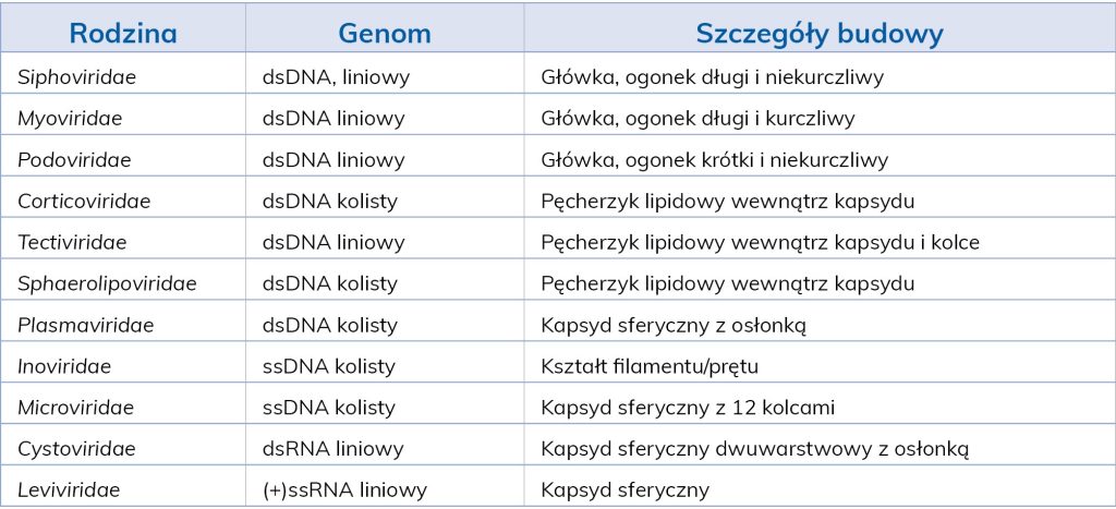 LAB_2_20_Damian_Sztucki_BAKTERIOFAGI_I_TERAPIA_FAGOWA_TAB_2