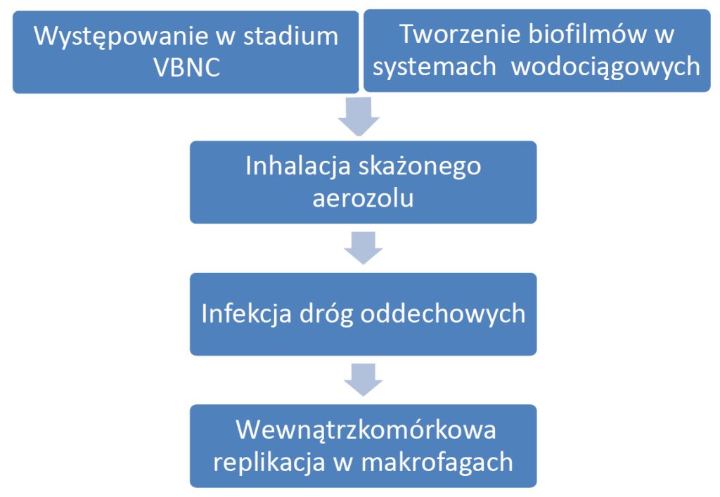 lab-legionella-spp