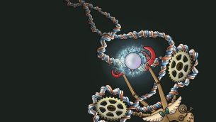 lab-gyrazą-dna