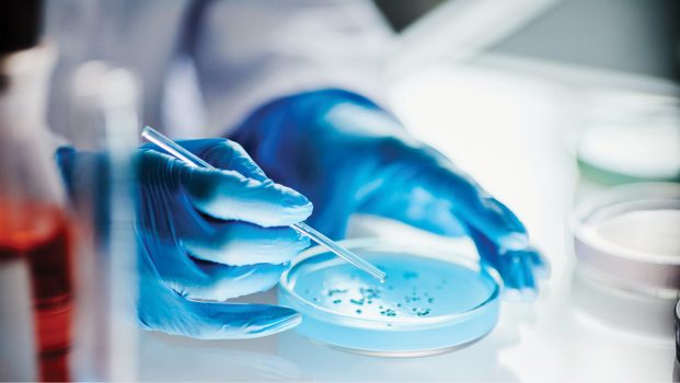 LAB_1-2_25_techniki_i_badania_Justyna_Mozejko-Ciesielska_SUROWCE_ODPADOWE_W_PRODUKCJI_BAKTERYJNYCH_POLIMEROW_iStock-2176475781