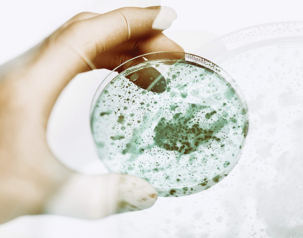 lab-właściwości-grzybobójczych-materiałów-polimerowych