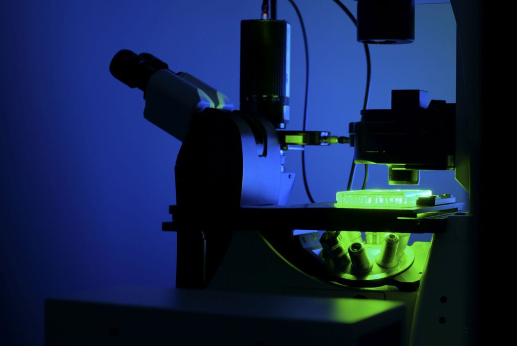 lab-nanokryształów-perowskitowych