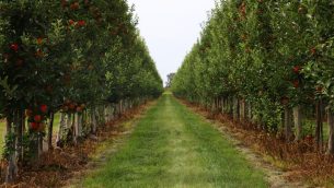 lab-odpadów-skalnych-i-celulozowych